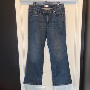 Lane Bryant Women's Flare Blue Jeans, Sz18